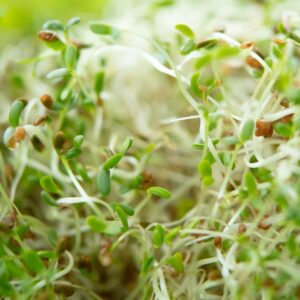 Pea shoots Go With Your Gut