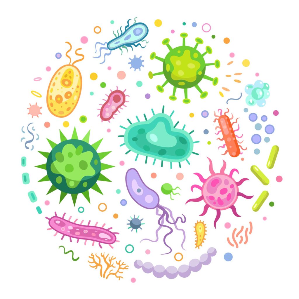 Microbiome Gut Health